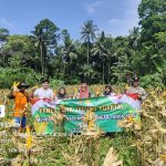 Dukung Swasembada Pangan,Polsek Rangkasbitung Polres Lebak Gelar Panen Raya Jagung Kuartal I di Kampung Pulo IMG-20260325-WA0090
