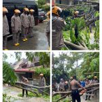 RESPON CEPAT BRIMOB POLDA KEPRI EVAKUASI POHON TUMBANG TIMPA RUMAH WARGA DI SAGULUNG IMG-20260408-WA0012