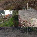 PERAMBAHAN HUTAN DI LADANG PANJANG TERUS BERLANGSUNG, KAWASAN HP DIDUGA DIALIHFUNGSIKAN MENJADI PERKEBUNAN SAWIT IMG-20260411-WA0058